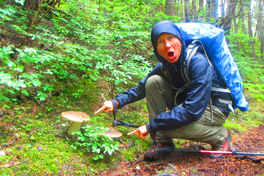 I guess these are supposed to be good to eat...maybe...