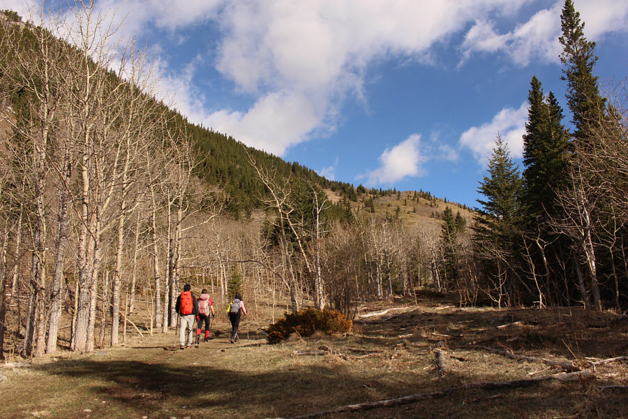 Yep, I'm glad we didn't haul snowshoes along...