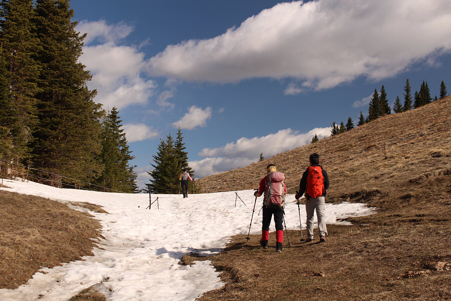 A little bit of snow ain't gonna slow us down!
