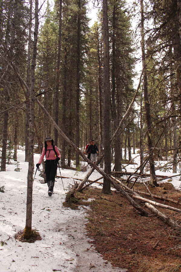 Sometimes, not always!