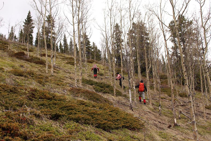 We might have left the trail a bit prematurely, but we were getting sick and tired of all the post-holing!