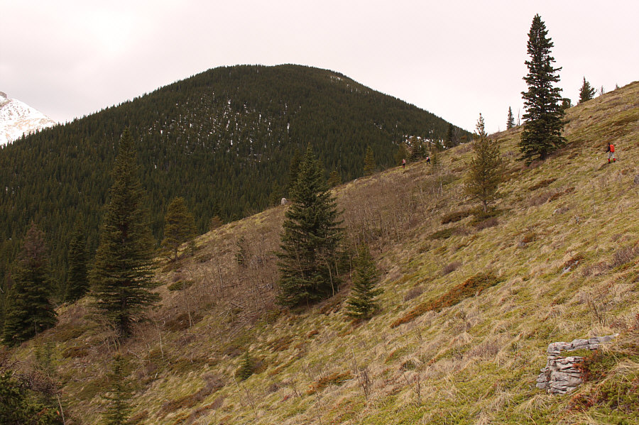 We're finally making some real progress!