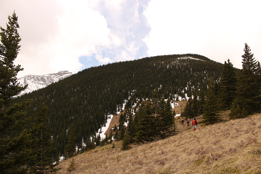 Still more than an hour of sheer misery coming up...