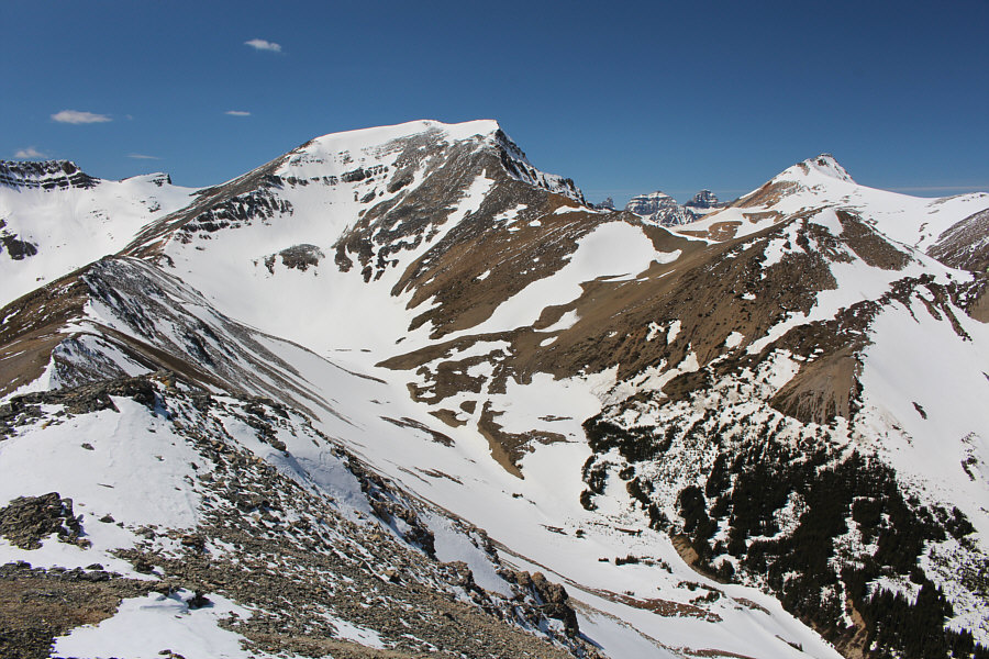 May be worth returning for these two when there is less snow.