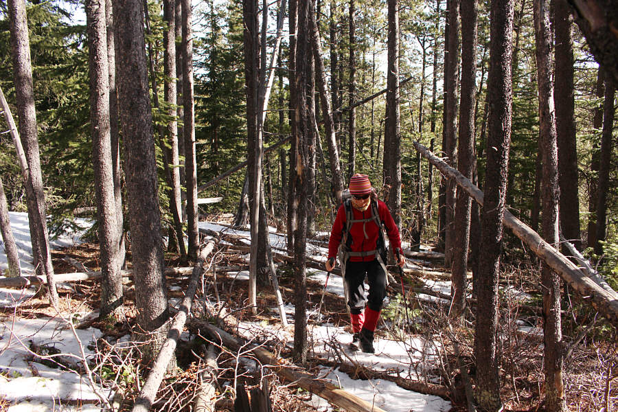 Course correction coming up...