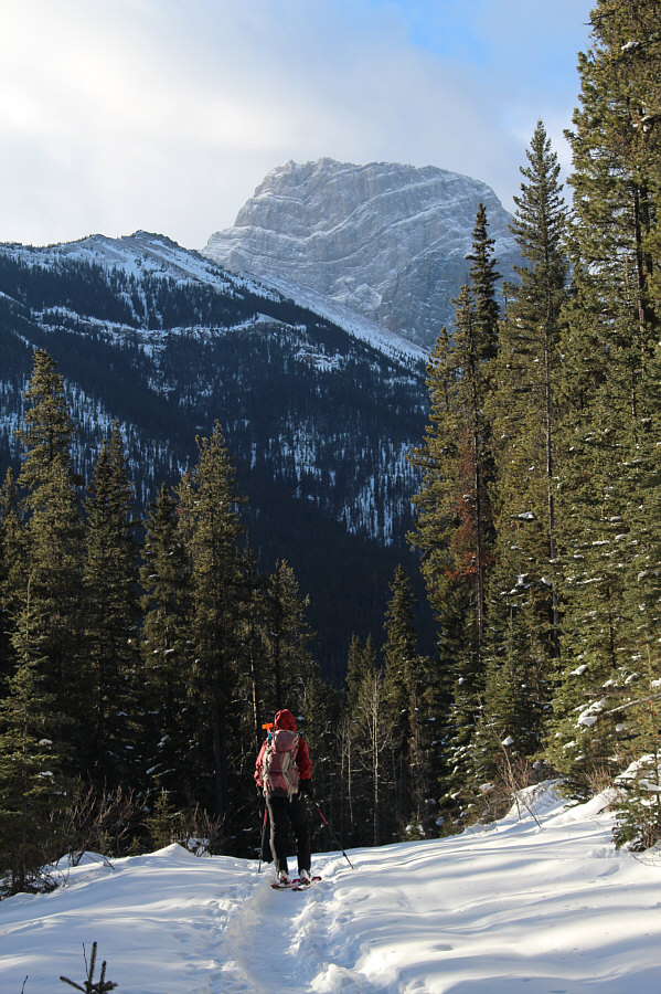 Maybe next summer I'll climb that...