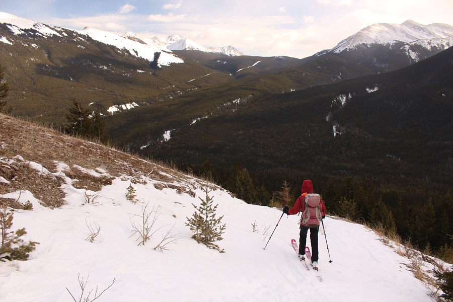 She still has her skins on!