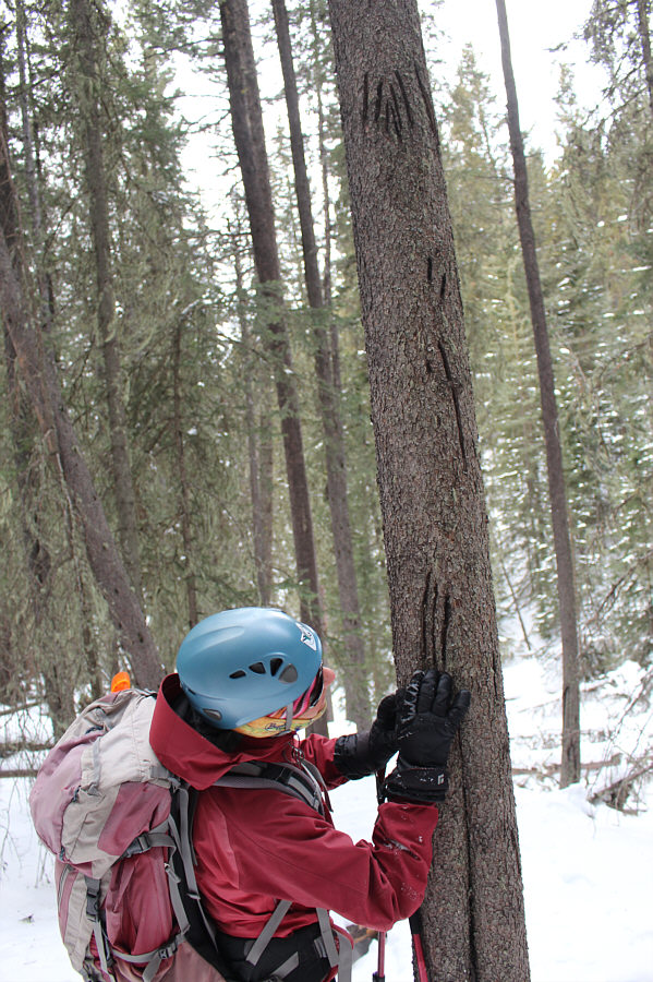 My, what sharp claws those must have been!