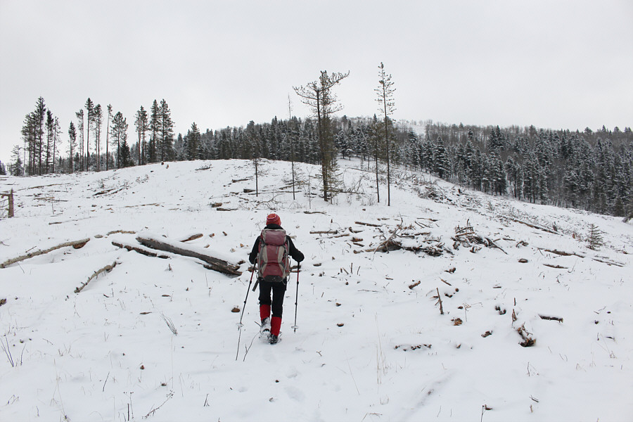 The route is clear now--gain the ridge and turn right!