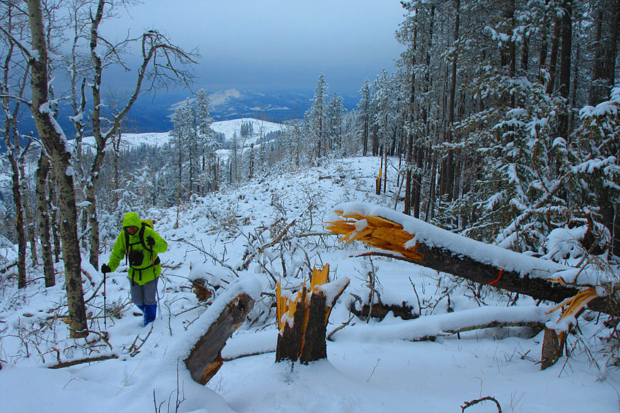 And it wasn't Chuck Norris!