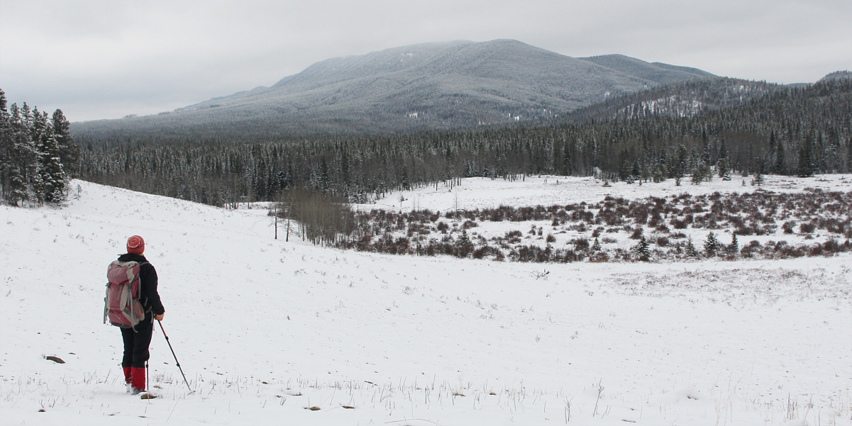 We're waiting to do that one with Serge Massad!