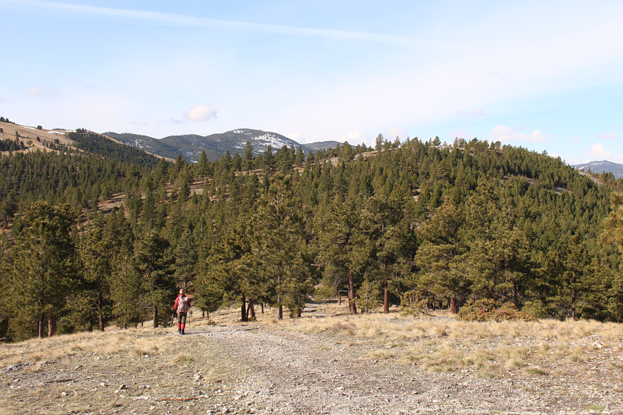 Beats me why they gave the official name to the lower bump!