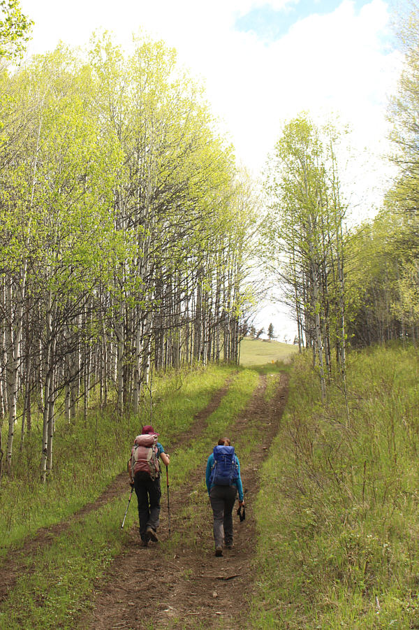 We're on the right track!