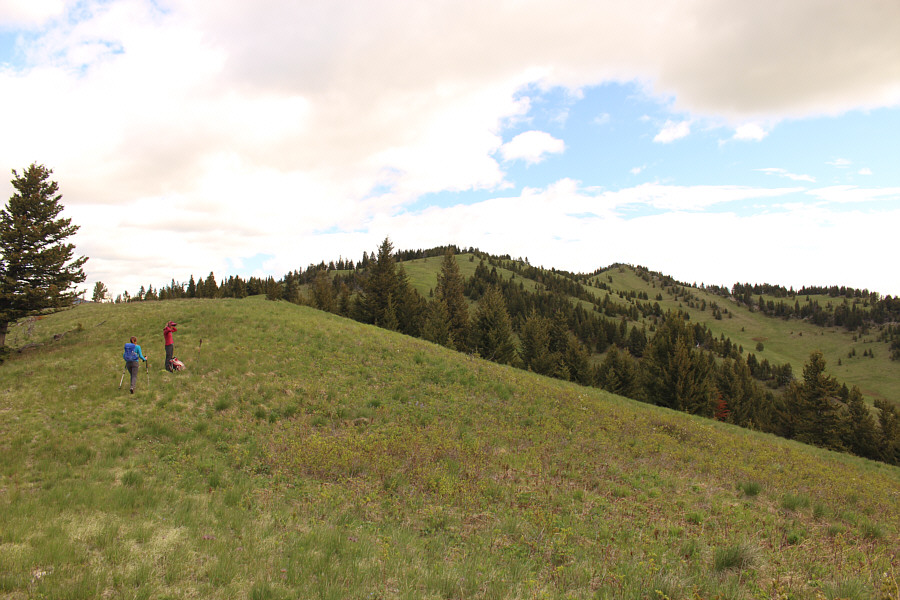 You could even put your hands in your pockets!