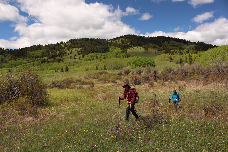 The weird perspective here makes Aga look like a "little person"!