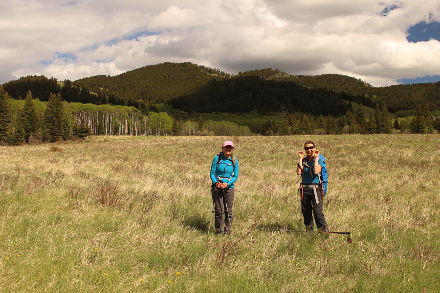 I can smell those wild chives from here!