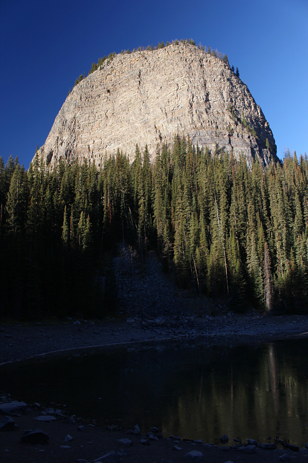 This means something. This is important!