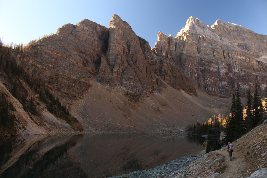 Look for pikas around here!