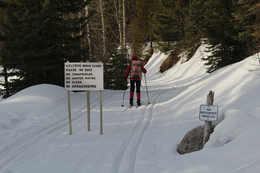 It doesn't say anything about fat bikes...