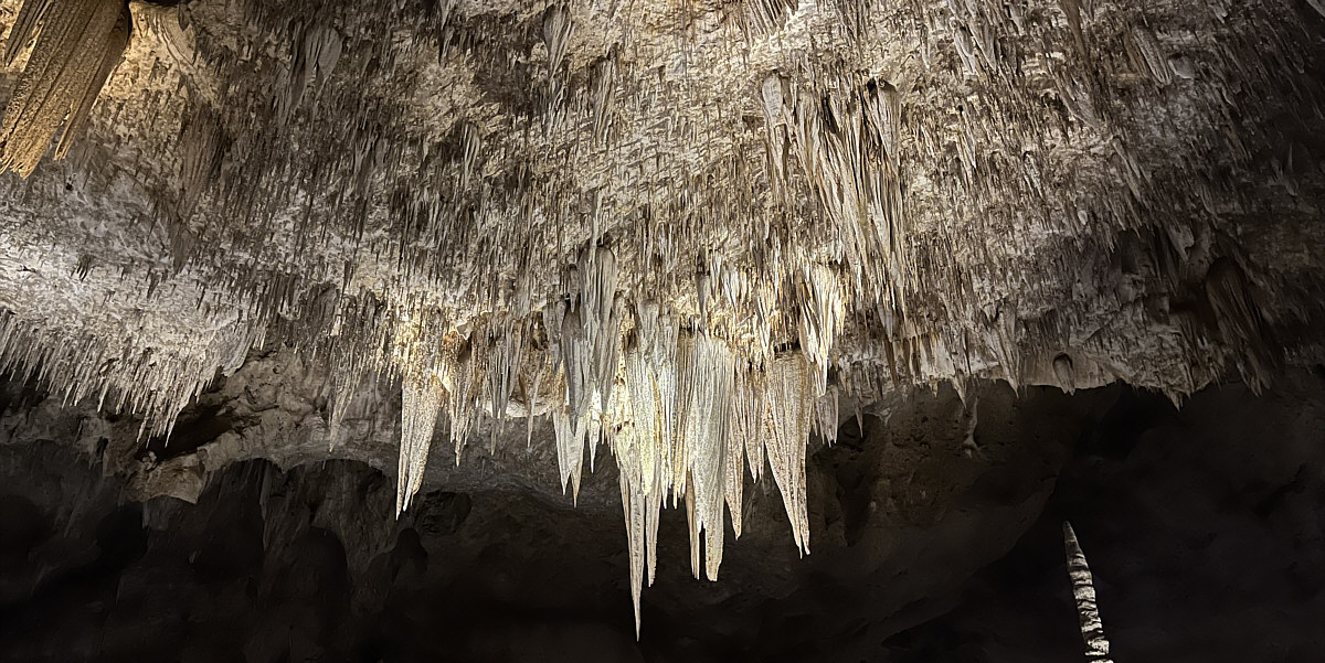 Still shining bright!