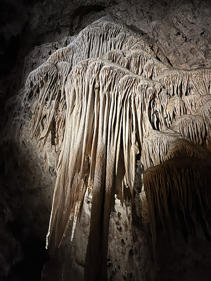 Looks very Alien-esque!