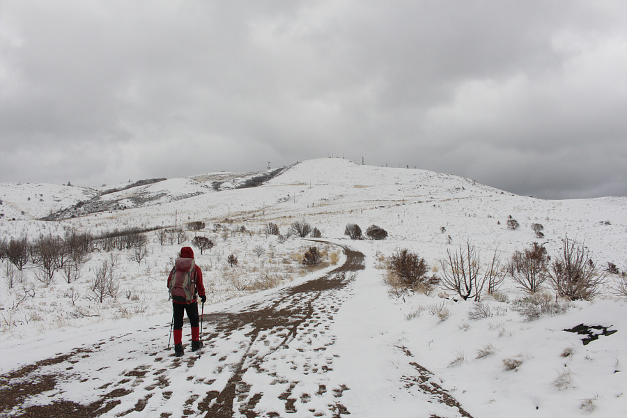 The long and winding road...