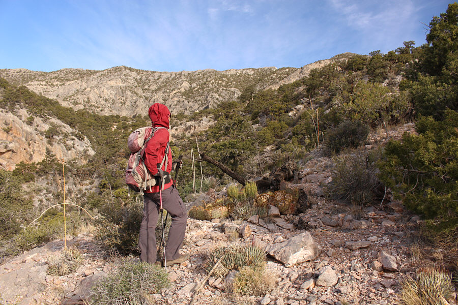 An enjoyable ascent so far!