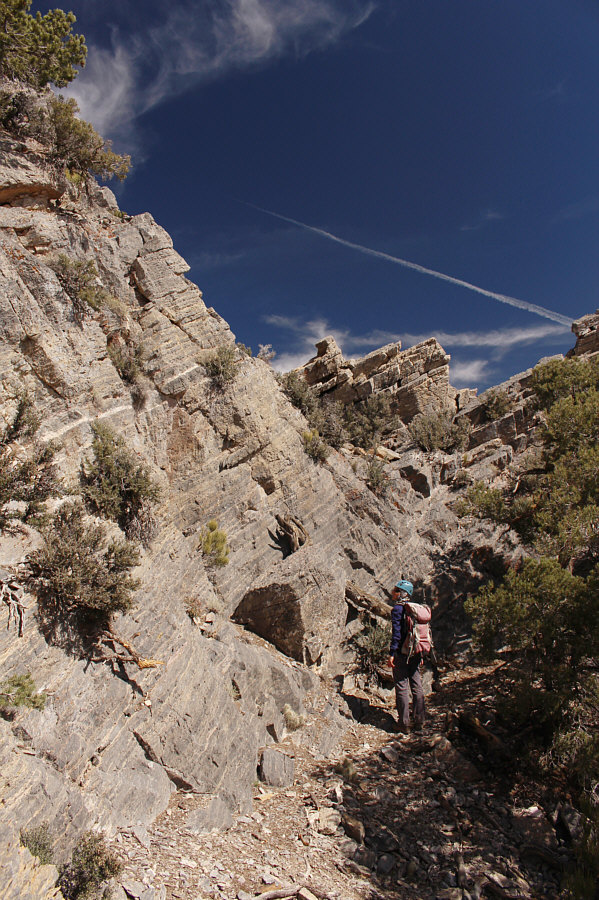 This one's actually a little easier than the lower sections.