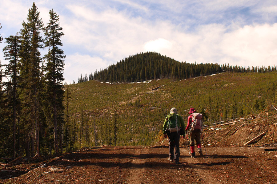 Time to thrash through the slash!