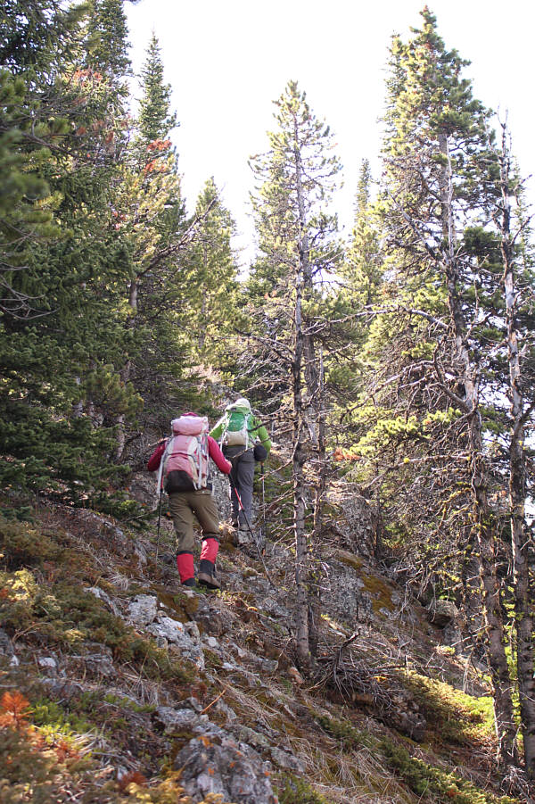 Definitely not a well-traveled route!