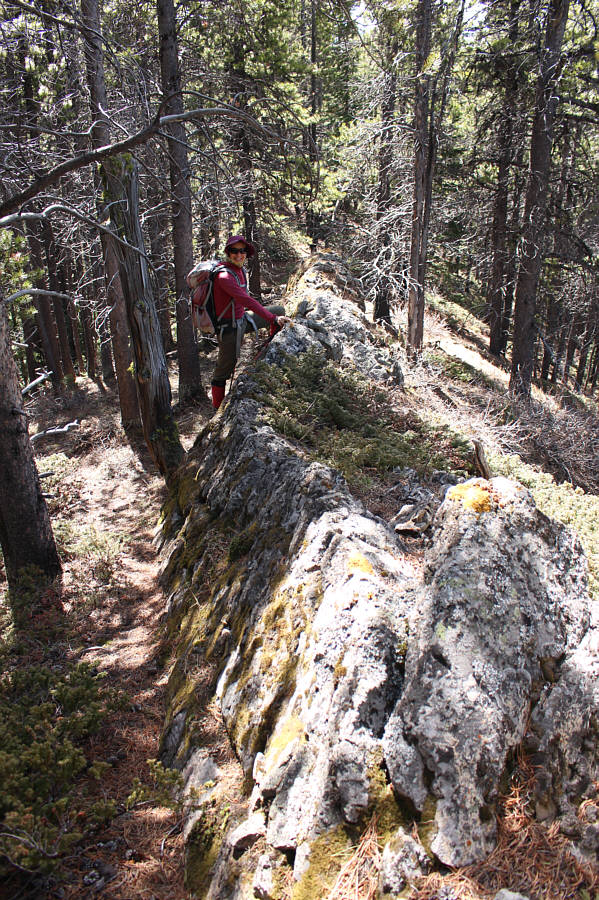 Not much to see still except for this rocky rib!