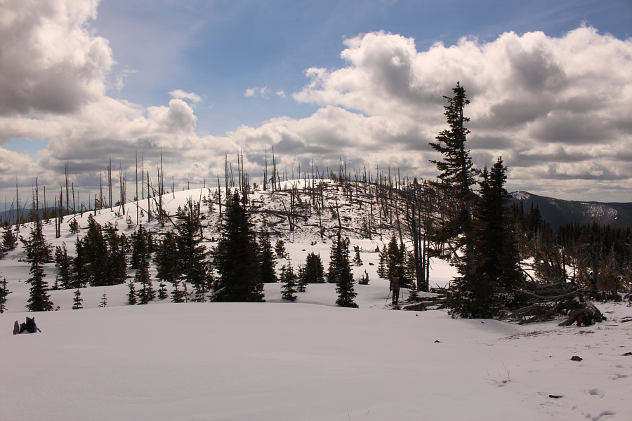 Looks like there's still some good skiing left here!