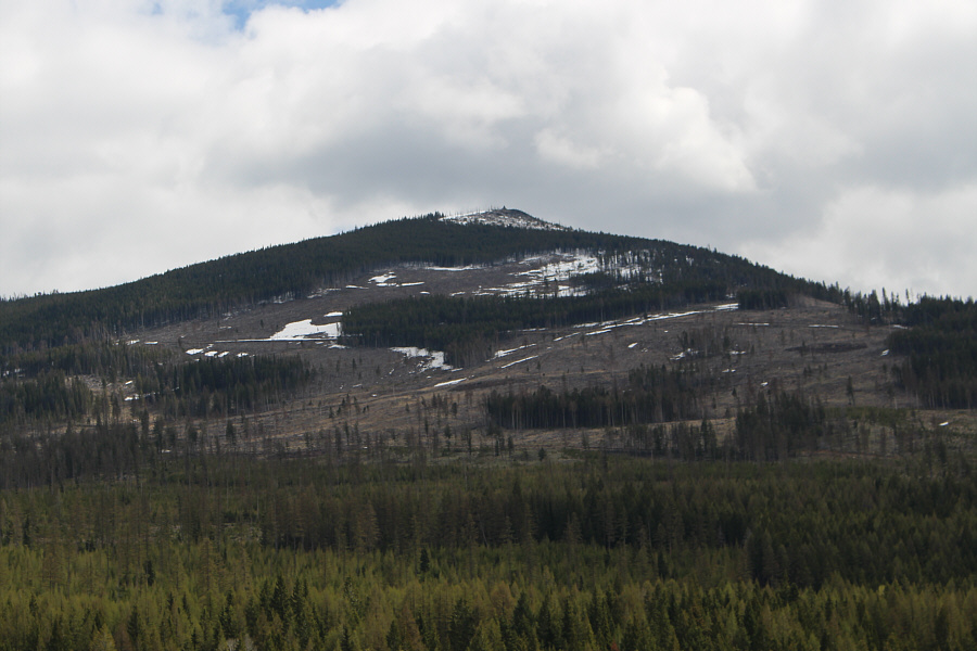 Might be a good ski in winter if there is enough snow...