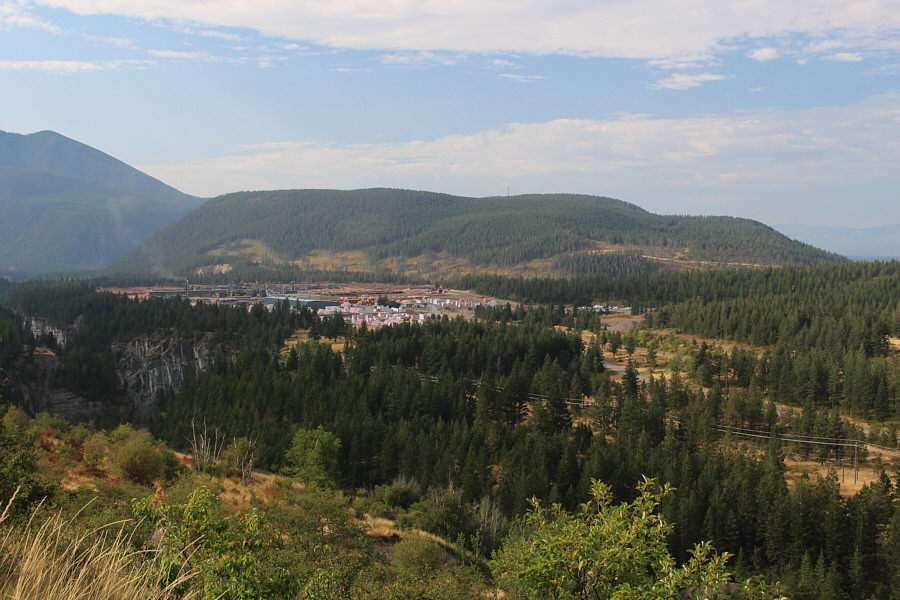 Clever of them to hide the lumber yard in this valley!