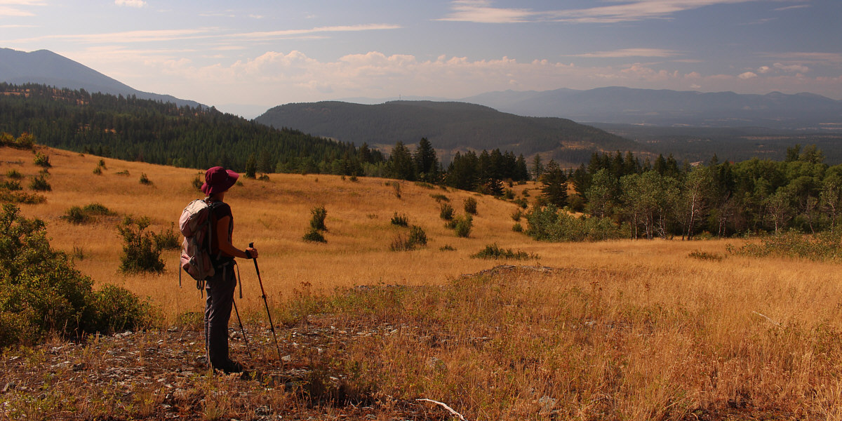 Unfortunately, we couldn't quite see Lake Koocanusa from here.
