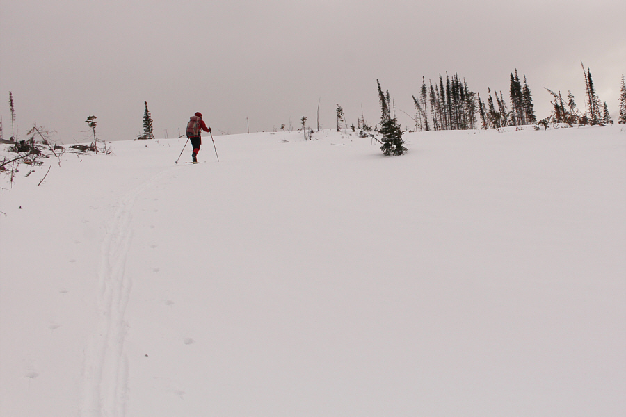 Hard to tell where to go next...if in doubt, go up!