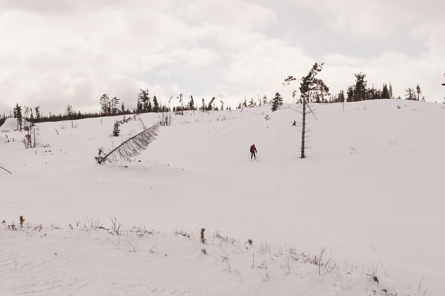 Sure, it's not the Aemmer Couloir, but it's still thrilling on skinny skis!