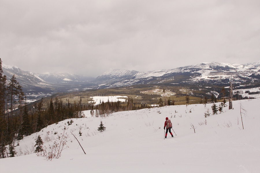 Still enjoying some great skiing here!