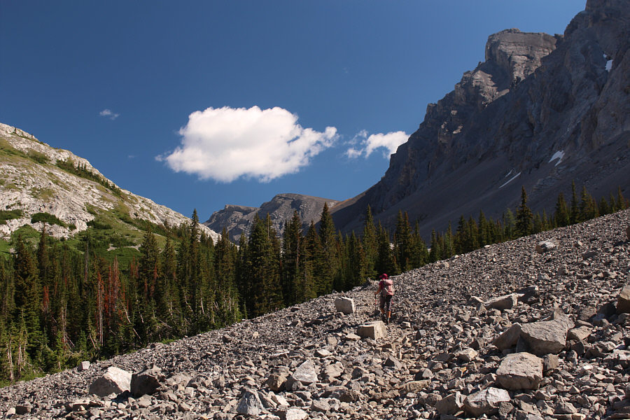 Doesn't look too hard...