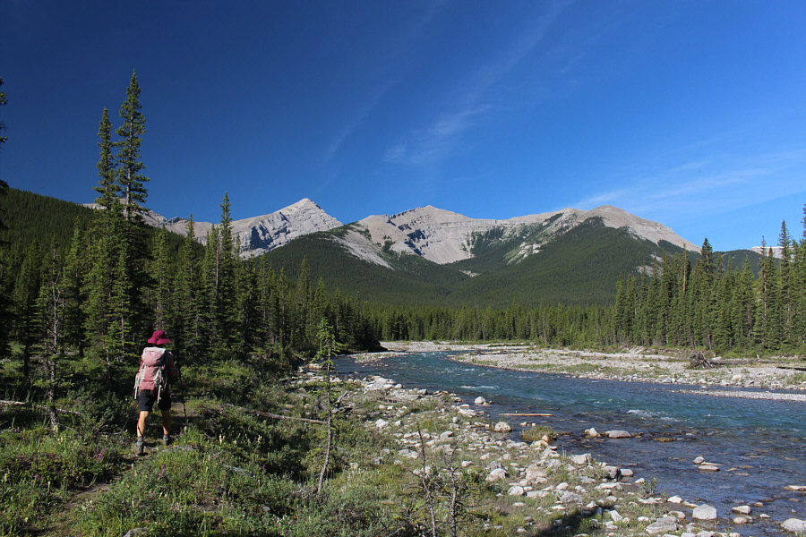 It's shaping up to be a beautiful day!