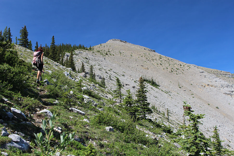 Keep ploddin' upward!