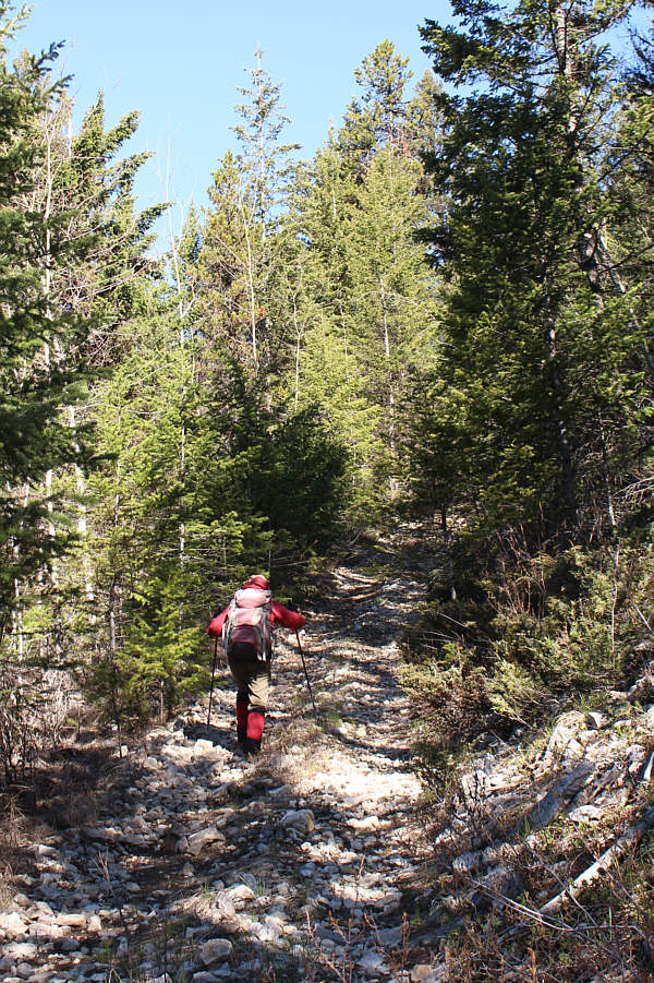 Would have been nice to have some views along the way...