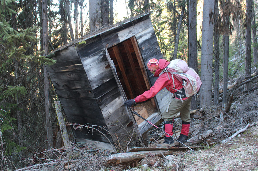 It looks like Zosia is tilting the hut over!
