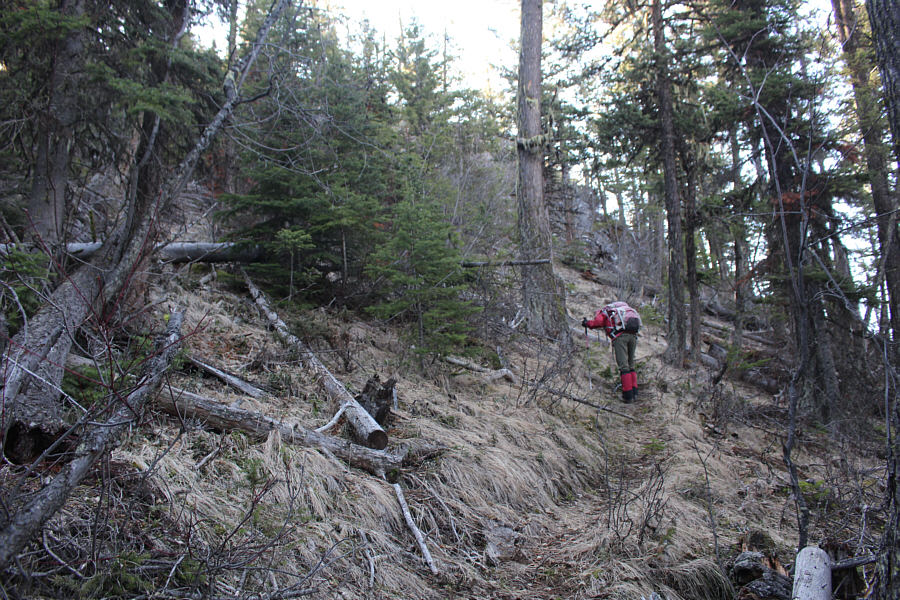 This was about the only "trail" we would hike all weekend!