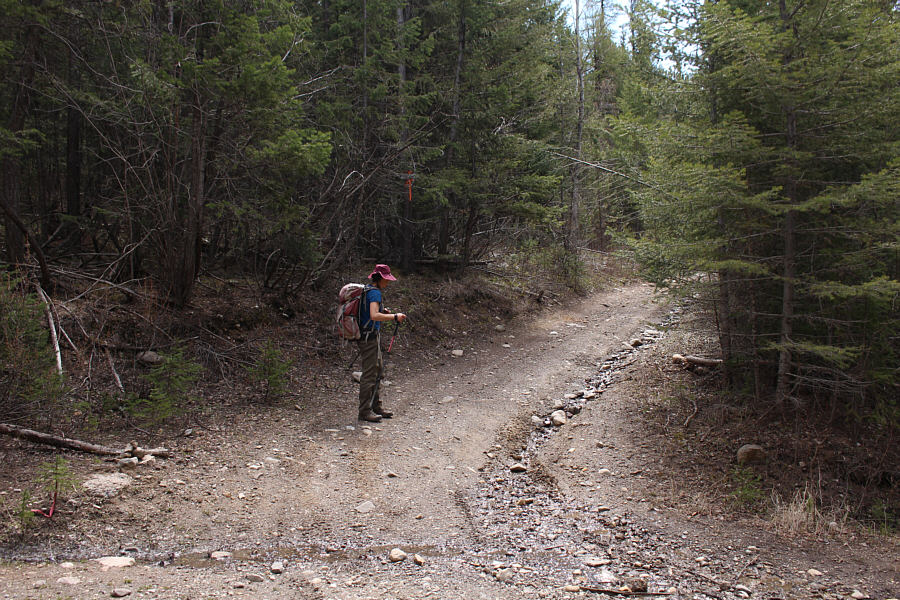 Probably put up by some sci-fi fans!