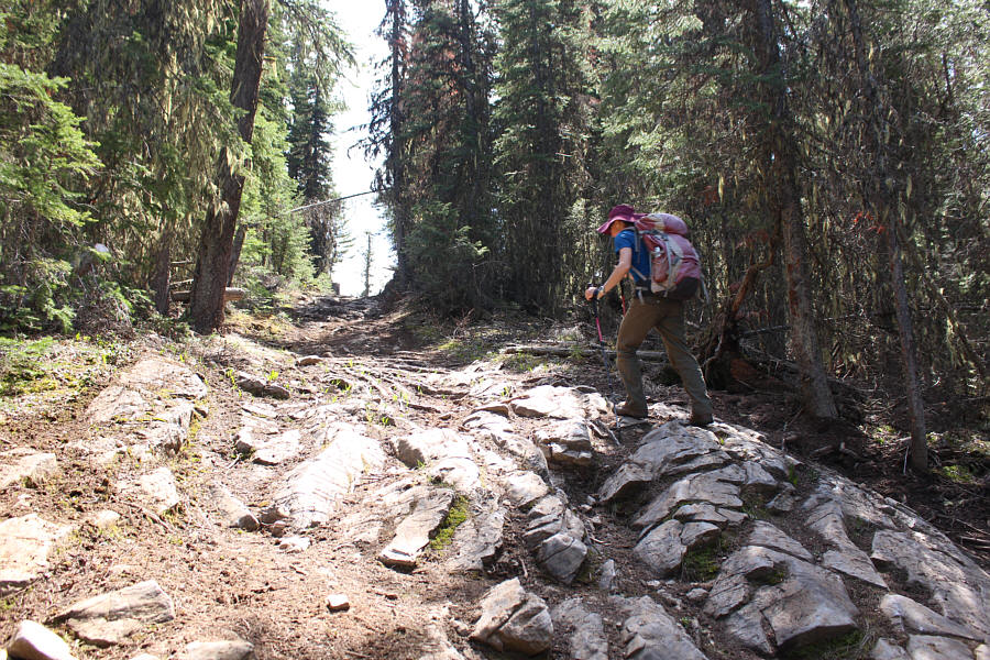 You could put your hands to the rocks and call it a scramble!