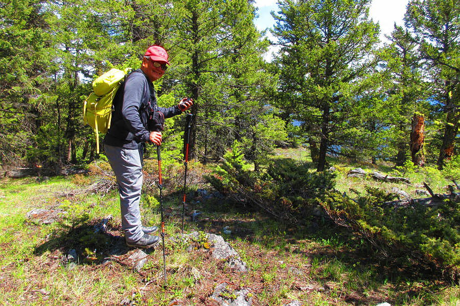 Again, someone needs to log all the surrounding trees here!