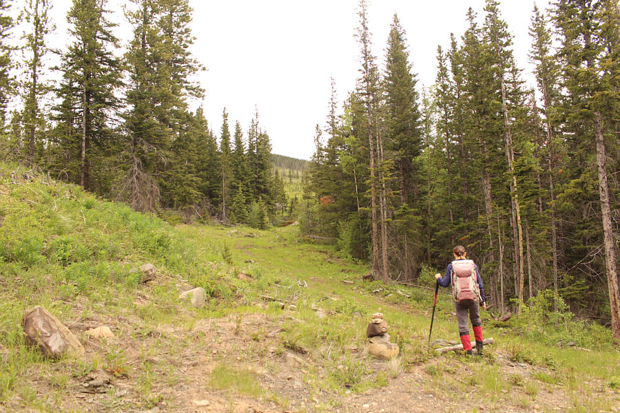 No bushwhacking so far is a good start!