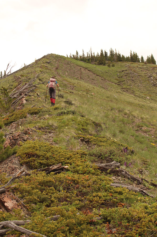 It's barely a grunt!