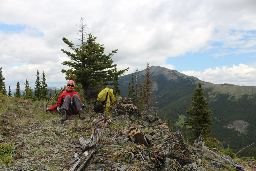 Is it a grassy knoll?